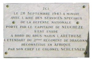 plaque