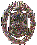 insigne beret