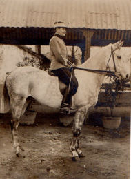 cavalier