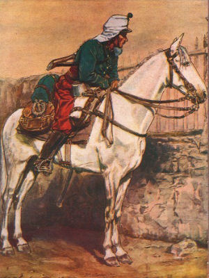 cavalier